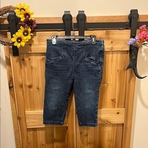 Pilcro Dark Blue Women Capri Jeggings by Anthropologie